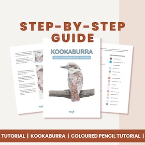 Kookaburra Step by Step Coloured Pencil Tutorial | Faber Castell Polychromos + Derwent Pencils | Drawing Tutorial for iPad or Print-at-Home