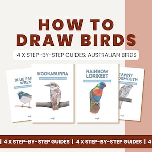 Wie zeichnet man Vögel | Bündel von 4 x Schritt für Schritt Buntstift-Anleitungen | Faber Castell Polychromos + Derwent Buntstifte | Australische Vögel