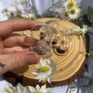 May include: A miniature clear glass bottle with a cork stopper, enclosed within a small glass dome on a circular wooden base. The bottle contains small green and brown natural elements, creating a tiny terrarium-like display piece.