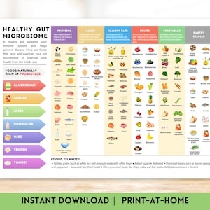 Gesundes Darm-Mikrobiom-Diagramm Gesunde Ernährung Referenzanleitung Druckbare Probiotische Prebiotische Lebensmittelliste Ernährung Poster