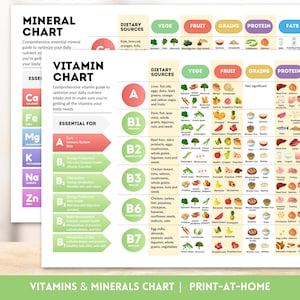 Vitamine und Mineralstoff-Diagramm-Bündel Gesunde Ernährung Referenz-Handbuch Essentielle Nährstoffe Tabelle Ernährung Poster Poster Gesundes Essen Gesundheit