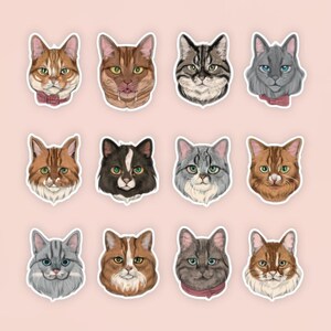 Bundle of CAT STICKERS