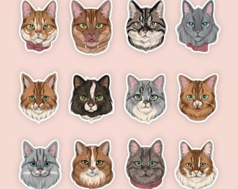 Paquete de PEGATINAS PARA GATOS