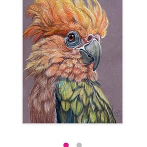 Cartões postais da série Bird
