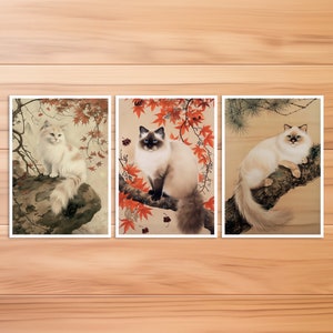 Cat Postcard, Cat Card, Birman Cat, Birthday Card, Art Postcard, Cat Hokusai Style, Gift Card, Vintage Cat Card