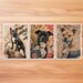 see more listings in the Cartes postales d'animaux section
