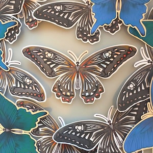 Puede incluir: Una colección de recortes de mariposas superpuestos dispuestos en un patrón circular. La mariposa central presenta alas negras con acentos naranjas, blancos y rojos. Las mariposas circundantes muestran tonos azul profundo, verde azulado y negro.