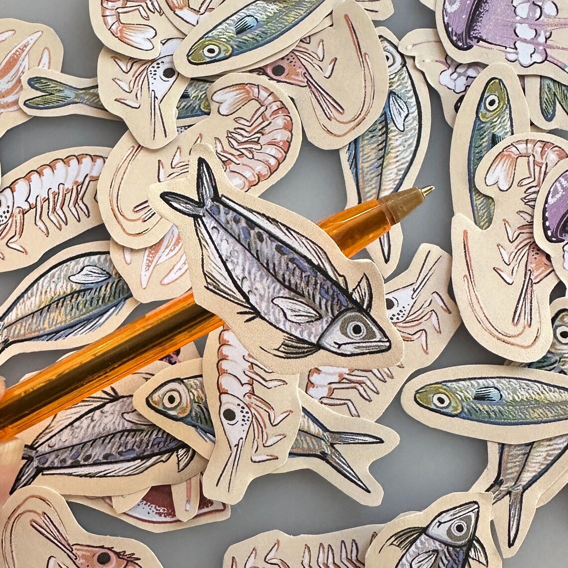 Ocean Critters Mini STICKER PACK 50 Pcs (krill, Shrimp, Mackerel, Squid ...