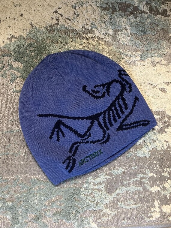 Vintage Arc'teryx Fernie Toque Blue Beanie – Dinosaur Logo