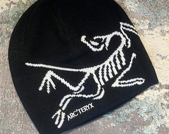 Vintage Arc'teryx Fernie Toque Purple Beanie – Pink Dinosaur