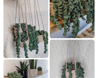 Crochet Plant