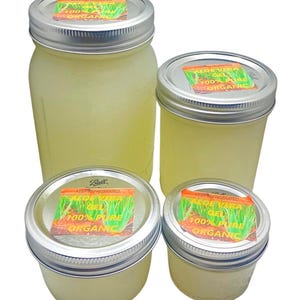 Aloe Vera Gel 100% Pure Natural Organic, no additives Safe to consume Just pure aloe vera