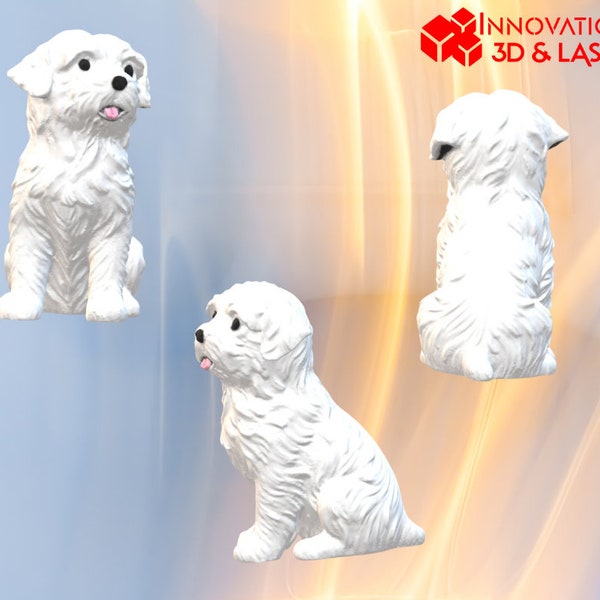 Modèle 3D Bichon Maltais - Fichier Prêt pour Impression 3D