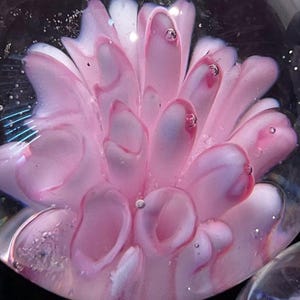 May include: A clear glass marble with a pink and white floral design. The flower-like pattern is encased within the glass, with small bubbles visible throughout. The marble has a glossy finish and is set against a dark background.