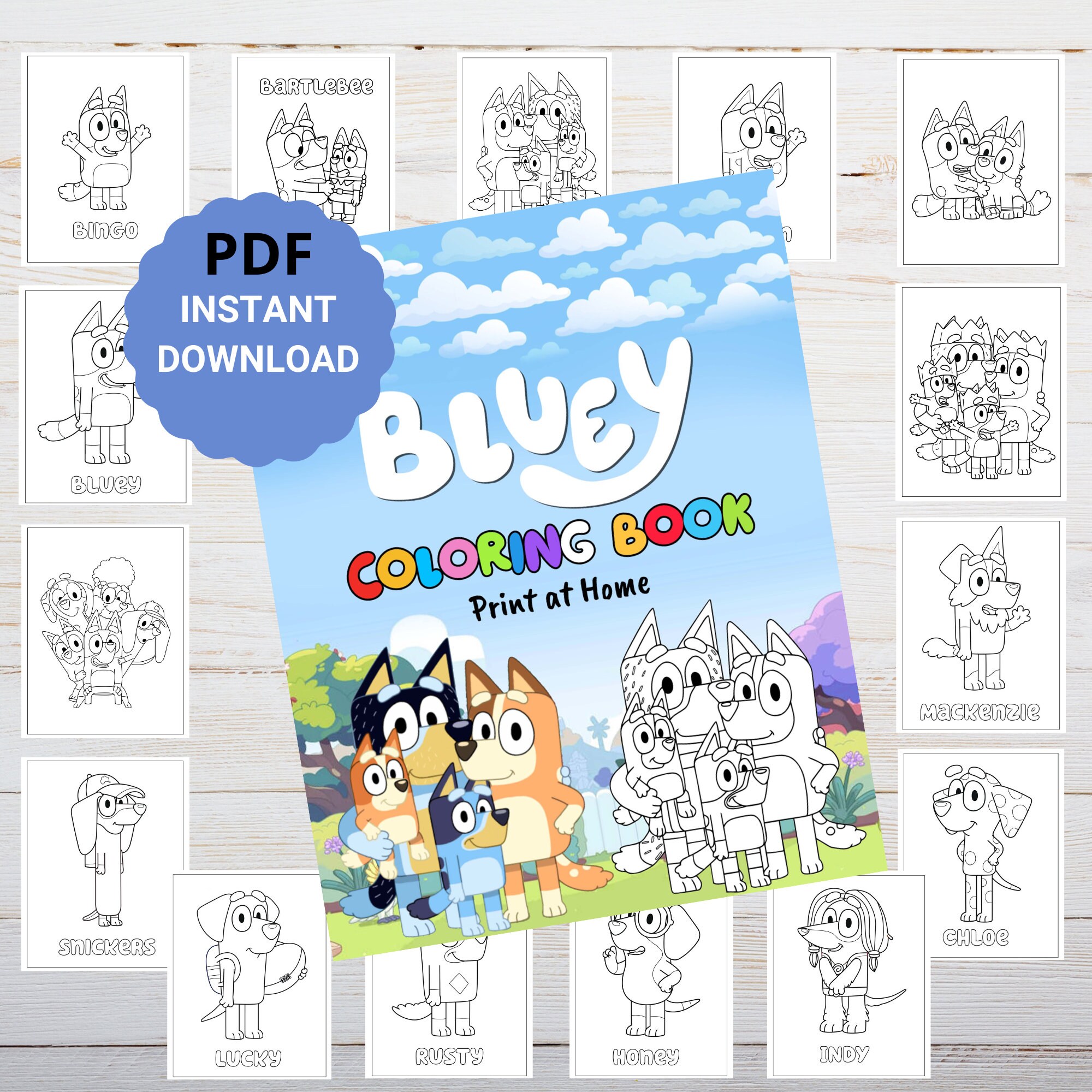 Bluey Coloring Book, Bluey Coloring Pages Printable - Etsy Australia