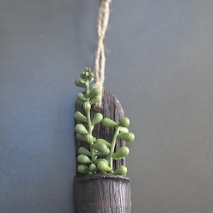 Ceramic Wall Vase - Boho Decor  - Air Plant Holder