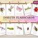16 Insects Flashcards, Montessori Cards, Printable Flashcards ...