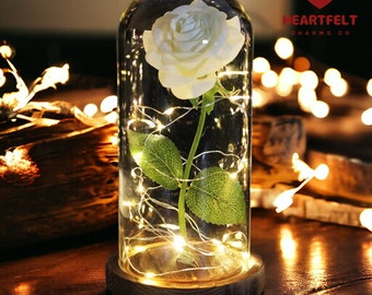 LED Rose éternelle - Un cadeau radieux pour la Saint-Valentin | Maman| Petite amie | Anniversaire de mariage