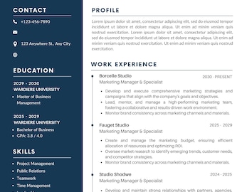 Professional resume template