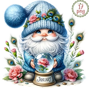Conjunto de clipart de aquarela de gnomo de mês de nascimento de flor de pavão, clipart de gnomo de flor de mês de nascimento, gnomo floral PNG, gnomos de aniversário, uso comercial