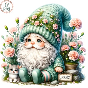 Gnome Flower Birthday Month Watercolor Clipart Set,Birth Month Flower Gnome,Floral Gnome PNG,Birthday Gnomes,Monthly Flower Clipart,CatLover