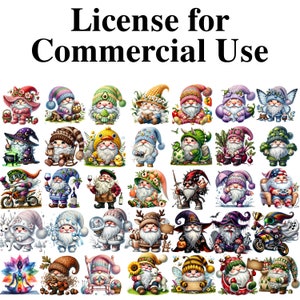 Commercial Use License, License for Commercial Use