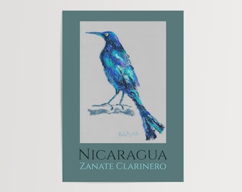 Póster Digital Zanate Clarinero de Nicaragua | Arte de Pájaro Tropical Descargable