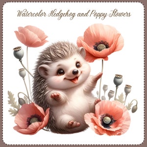 May include: A watercolor illustration of a cute hedgehog with a happy expression sitting among pink poppy flowers. The hedgehog has brown eyes, a pink nose, and a white belly. The flowers have black centers and are surrounded by green leaves.