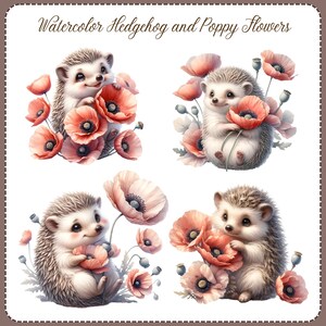 May include: Four watercolor illustrations of hedgehogs with poppy flowers. Each hedgehog is holding a poppy flower in its paws. The hedgehogs are surrounded by poppy flowers in various stages of bloom.