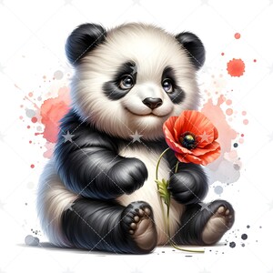May include: A cute black and white panda bear sitting with a red poppy flower. The panda is holding the flower in its paws and has a happy expression on its face. The background is a watercolor wash of pink and red.