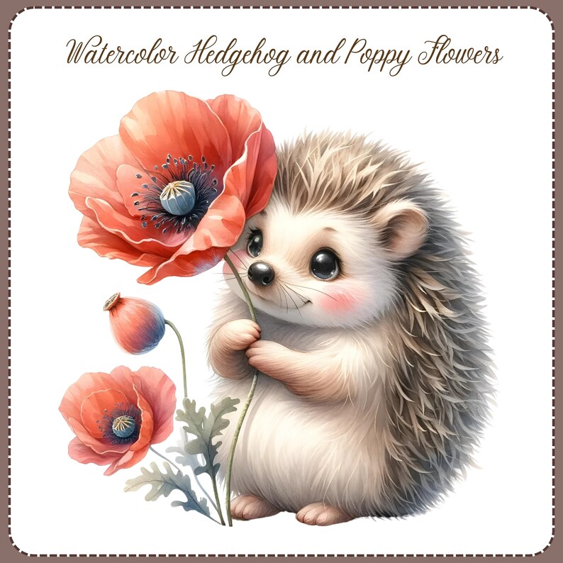 May include: A watercolor illustration of a cute hedgehog holding a red poppy flower. The hedgehog has a brown and white coat and big, black eyes. The poppy flower has a red center and a green stem.