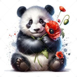 May include: A cute black and white panda bear holding a bouquet of red poppies. The panda is sitting on a white background with gray watercolor splatters.