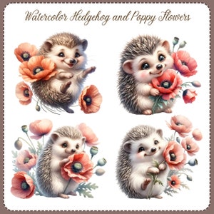 May include: Four watercolor illustrations of hedgehogs with poppy flowers. Each hedgehog is depicted with a different pose and expression, holding a bouquet of red poppy flowers. The illustrations are set against a white background.