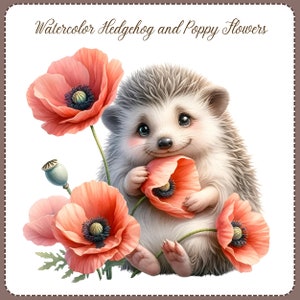 May include: A watercolor illustration of a cute hedgehog holding a red poppy flower. The hedgehog is surrounded by three red poppy flowers with black centers. The background is white.