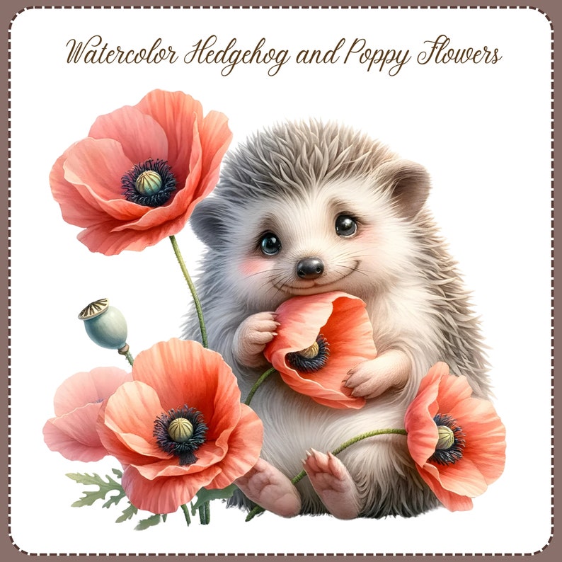 May include: A watercolor illustration of a cute hedgehog holding a red poppy flower. The hedgehog is surrounded by three red poppy flowers with black centers. The background is white.
