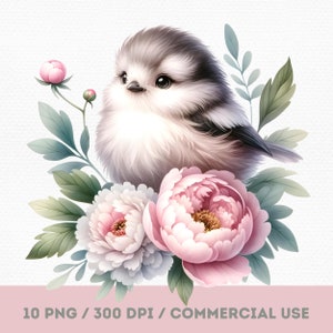 水彩画の鳥と牡丹の花の PNG クリップアート、春の鳥とパステルカラーの花のイラスト、デジタル ダウンロード、カード作成、デジタル ペーパー クラフト