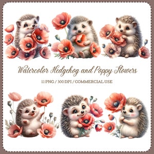 Igel und Blumen Clipart, Niedliches Igel-Set, Mohnblumen, Blumentiere, Aquarell Igel, Tier und Blumen, digitaler Download
