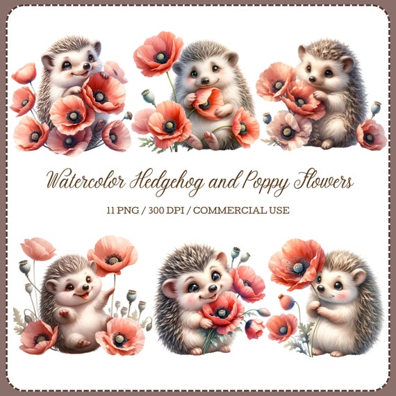 Watercolor Hedgehog Clipart Set, Poppy Flowers (Digital Download)