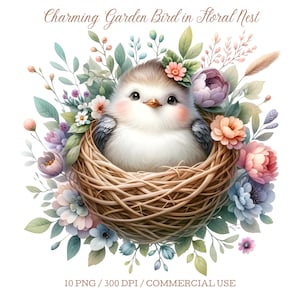 Pássaro de jardim encantador em ninho floral, clipart de pássaro fofo, pássaro em aquarela PNG, pássaro e flores, download digital, artesanato em papel, criação de cartões