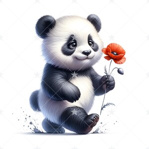 May include: A cute black and white panda bear with a red poppy flower in its paw. The panda is walking towards the right side of the image.