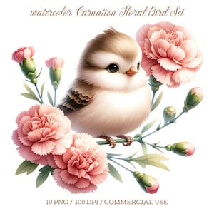 Conjunto de clipart de pássaro cravo em aquarela, PNG digital floral rosa, ilustração de pássaros e flores para scrapbooking, confecção de cartões e uso comercial