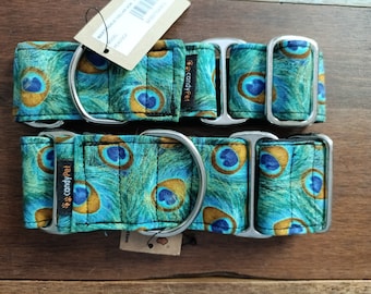 PEACOCK_CandyPet® wide range of Martingale and click collars for your dog