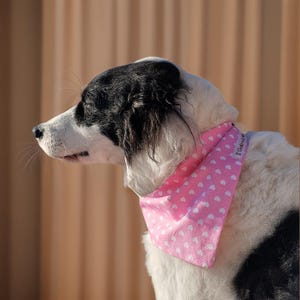 dog bandana, pet accessories, dog clothing