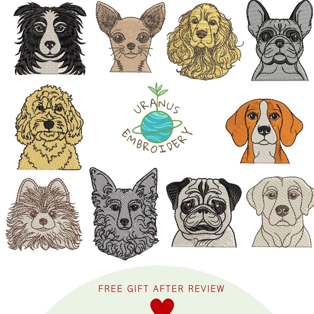 Border Collie, Chihuahua, Spaniel, French Bulldog, Cavapoo, Beagle ...