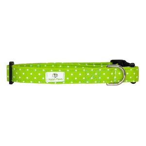 Hala&#39;s Paws Lime Green Polka Dot Dog Collar