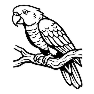 May include: A black and white illustration of a parrot perched on a branch. The parrot has a curved beak, detailed feathers, and is facing left. The branch is also black and white, with visible texture.