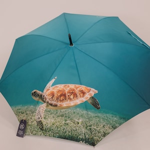 May include: A teal umbrella with a sea turtle swimming underwater printed on the fabric. The turtle is brown and orange with a green background.