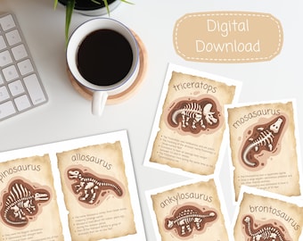 Dinosaur Fossil Flashcards | Montessori | Home Education | Teacher Resources | Educational Learning |