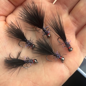 May include: Five black fishing flies with dark feathers, purple accents, and silver hooks are displayed. Each fly has a red bead at the head. The flies are designed for fly fishing.