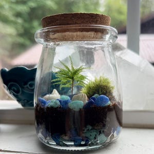 May include: A clear glass jar with a cork lid containing a miniature terrarium with dark soil, blue and light blue decorative stones, small white seashells, a small green fern-like plant, and moss. The text 2 weeks later is visible.